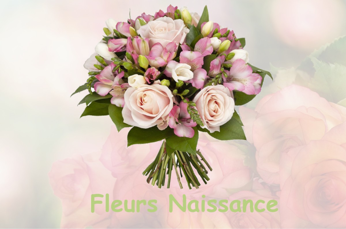 fleurs naissance SAINTE-MARIE-LA-BLANCHE
