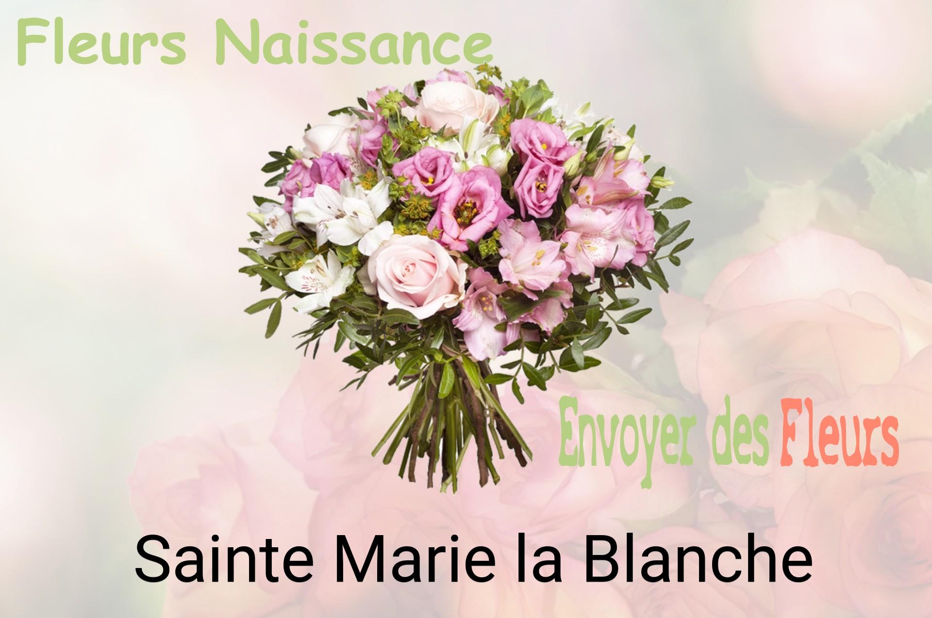 Bouquet de fleurs de naissance livré à Sainte-Marie-la-Blanche