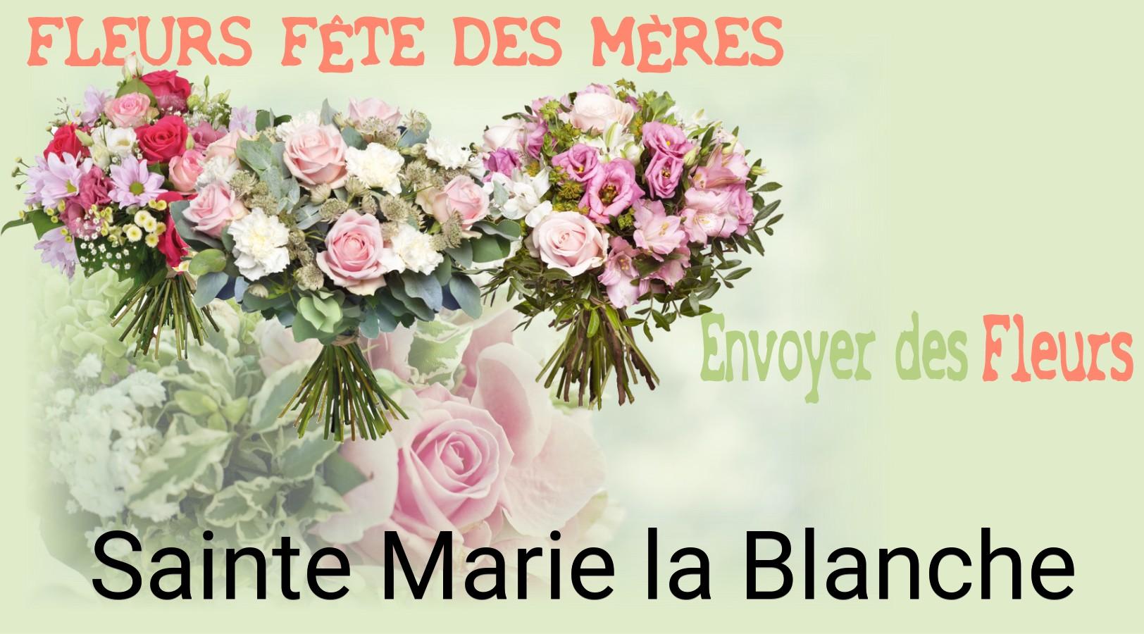 Bouquet de Fête des Mères livré à Sainte-Marie-la-Blanche